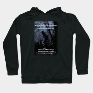 He will wipe every tear from their eyes Hoodie